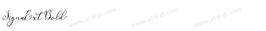 SignaExt Bold字体转换